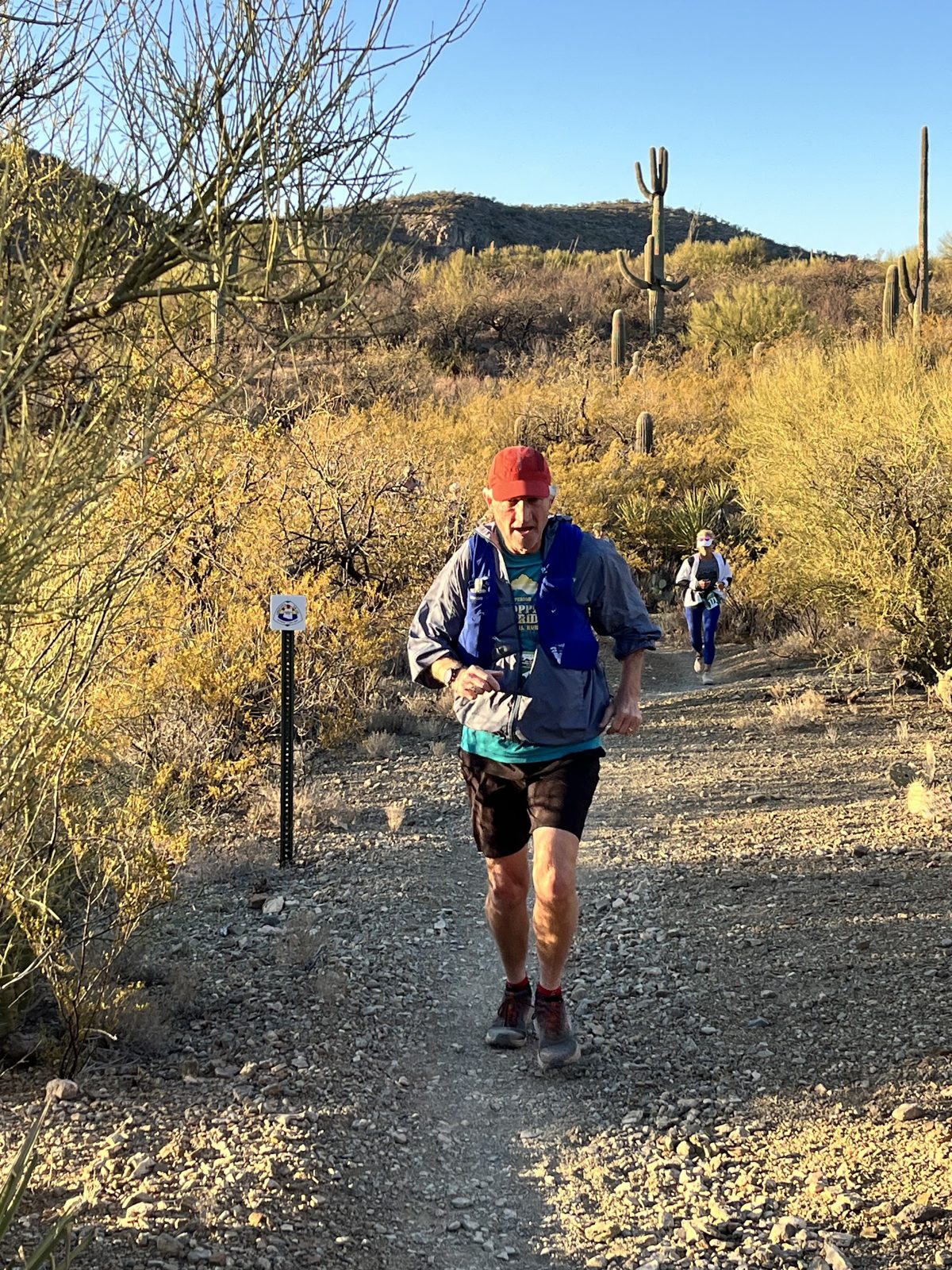 Runner climbing the Arizona Trail past saguaros in Colossal Cave Mountain Park