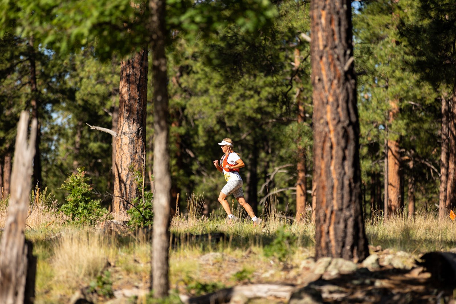 Runners on the ponderosa pine singletrack