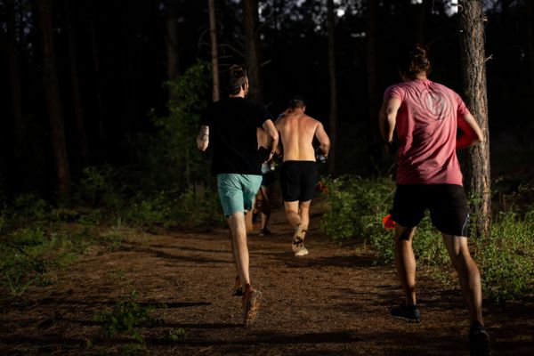 Runners heading into the pines at the evening start