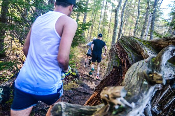 Runners on the rooty singletrack loop