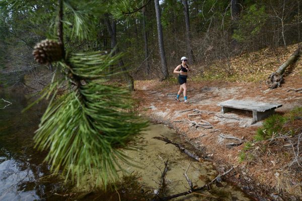 A runner on the lakeside trail past the pines