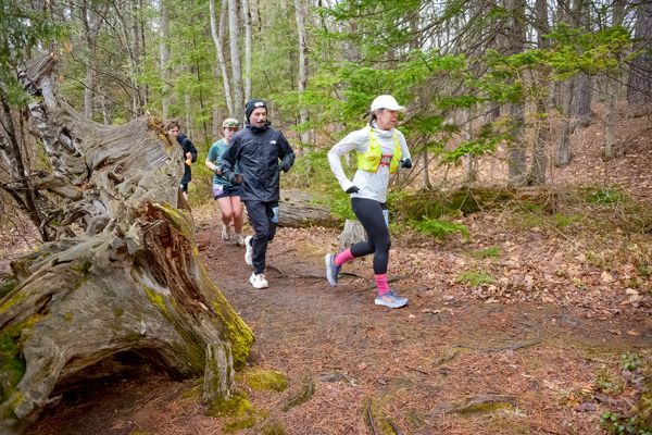 Runners on the singletrack past a fallen stump