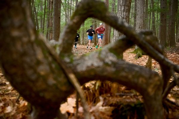 Runners framed by a twisted root in the pines