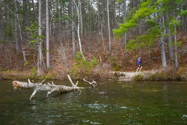 A runner on the far shore across the water